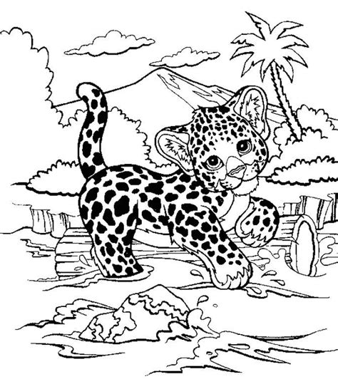 Coloriages De Bébé Guépard À Imprimer Coloriages De Guépard