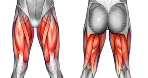 Thigh Pain And Injuries Symptoms Causes And Treatment