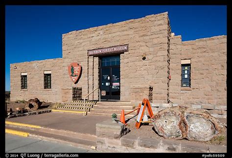 Picturephoto Rainbow Forest Museum Petrified Forest National Park