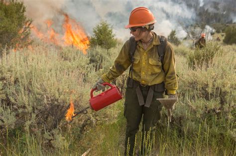 Wildland Firefighter Apprenticeship Program Us Forest Service