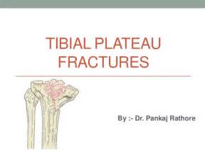 The tibia bone is one of the three bones making up the knee joint (the others being the femur and the patella). Tibial plateau fractures