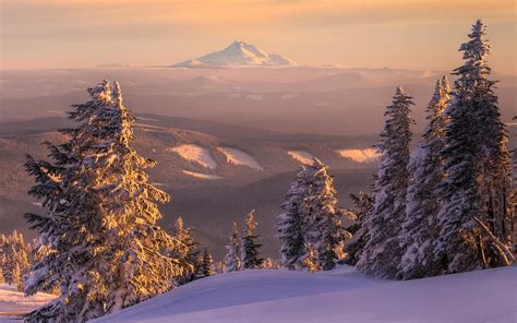 Sunset Mountains Landscapes Nature Winter Snow Trees Skylines Forest