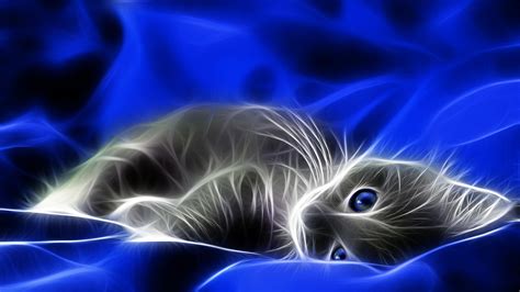 3d Digital Art Sweet Little Cat Wallpaper Download 3840x2160