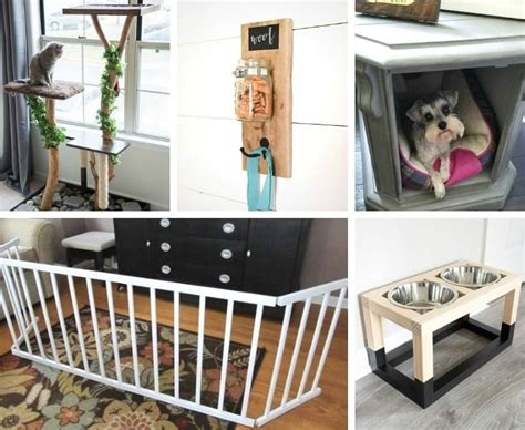 Pet Projects Diy Ideas For Your Furbabies My Repurposed Life