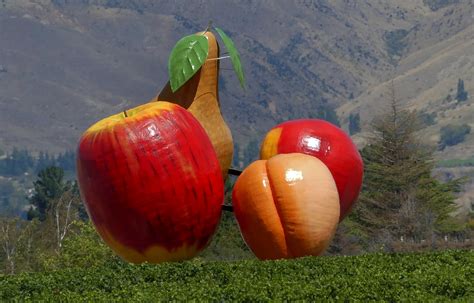 Giant Fruit Sculpture Cromwell New Zealand Cromwell Loc Flickr