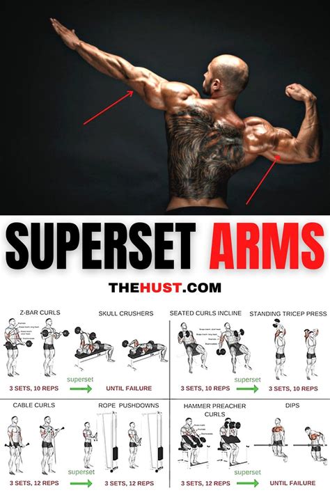 Ultimate Arms Workout Challenge For Size Arms Workout Plan Arm
