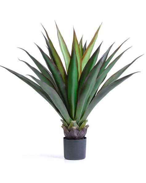 Buy Big Leaf Agave Artificial Succulent Plant At Officescapesdirect
