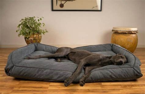 7 Best Dog Bed Ideas For Great Dane Diy Options Scout Knows
