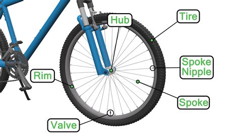 Parts Of A Bike Diagram The Bicycle Anatomy Guide For All