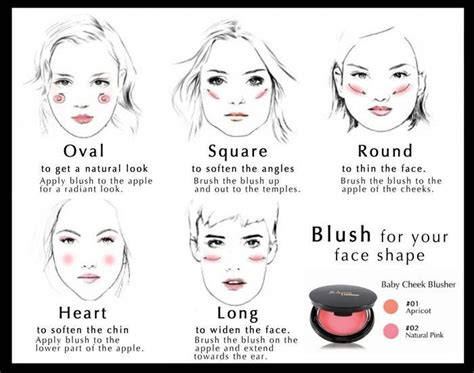 How To Apply Blush Bronzer And Highlighter How To Use Blush Bronzer