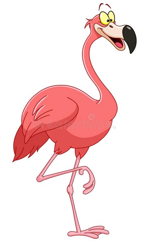 Flamingo Stock Vector Illustration Of Fowl Bird Africa