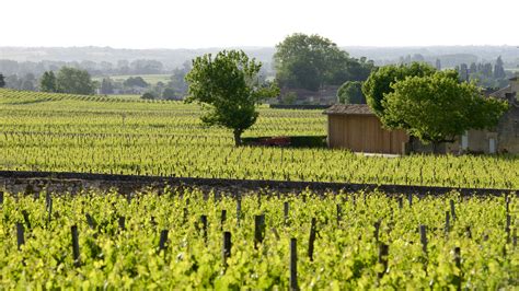 Visitez les incontournables de #bordeaux. The Best Winery Hotels in Bordeaux Wine Region from $70 ...