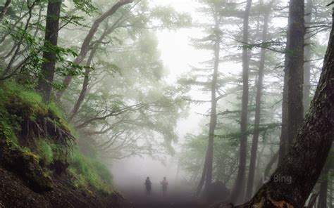 Following The Yoshida Trail On Mount Fuji Japan © Max