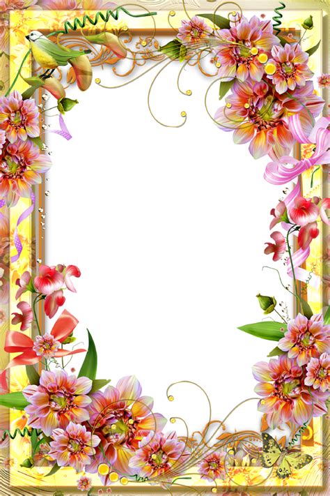 Flower Frame Border Design Png Beautifull Rose