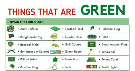 Things That Are Green List Of 160 Green Things That You Should Know