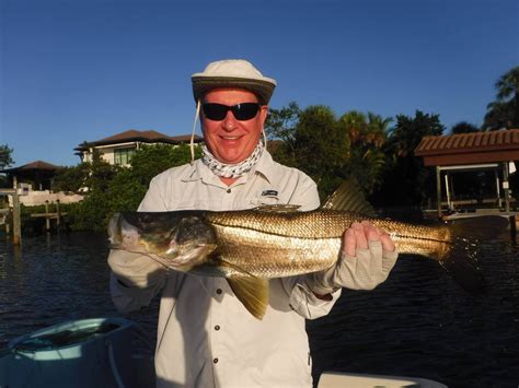 Fall Fishing In Sarasota Florida Must Do Visitor Guides
