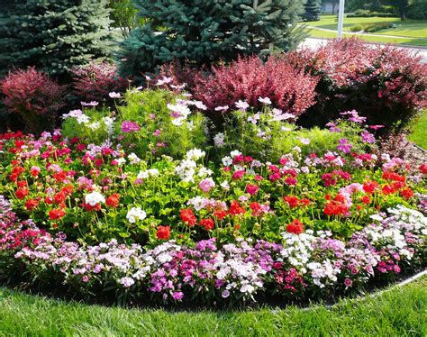Want Flowers Year Round Landscape Associates Can Help Choose The Right