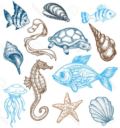 Sea Creature Drawings Realistic Sea Drawing Creature Drawings