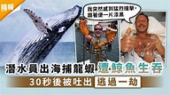 死裡逃生｜潛水員出海捕龍蝦遭鯨魚生吞 30秒後被吐出逃過一劫 - 晴報 - 家庭 - 熱話 - D210613