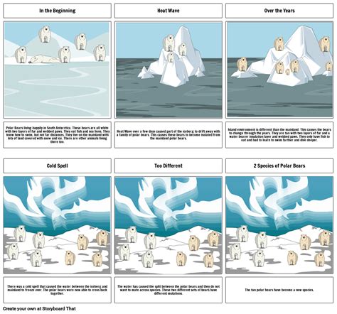 Speciation Of Polar Bears Storyboard By 5d7116ad