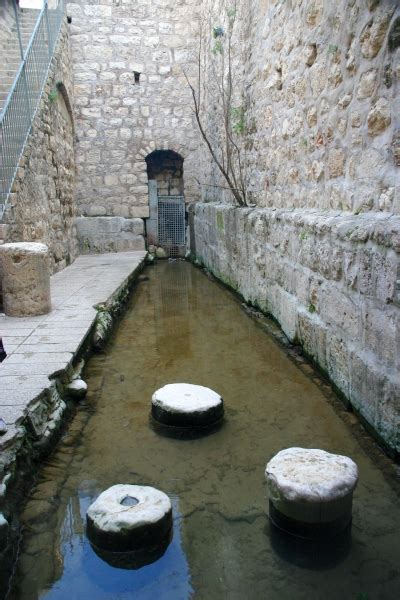 Lion Tracks Photo Qna Hezekiahs Water Tunnel Gihon Spring And Pool