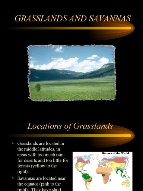 Grasslands And Savannas A Comparison Of The Worlds Major Tropical And