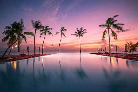 Hd Wallpaper Sunset Tropics Palm Trees The Ocean Pool Maldives