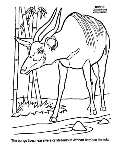African Animals Coloring Pages Free Coloring Pages Coloring Home