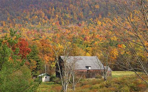 6 Best Fall Foliage Drives In Western Pennsylvania