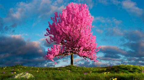 Bộ Sưu Tập đẹp Nhất Background 4k Tree Chất Lượng Cao Tải Miễn Phí