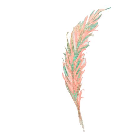 Download High Quality Feather Clipart Watercolor Transparent Png Images