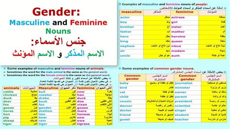 اسم نبراس مذكر ام مؤنث