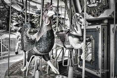 The Rooster And The Horse Boston Common Carousel Images By T