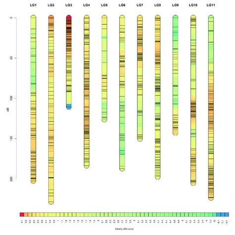 High Density Sex Average Genetic Map Of Gardenia Download Scientific Diagram