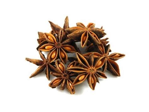 Shop organic anise star pods at mountain rose herbs. Star Anise Supplier Tamil Nadu - VGM Traders