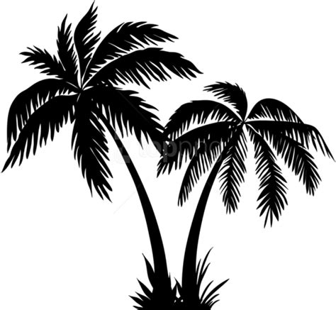 Free Png Palms Silhouette Png Coconut Tree Line Art Clipart Large