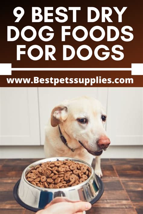 Each section better focuses on the needs of specific cats and describes how we made our decisions for that category. 9 Best Dry Dog Foods For your Dogs | Dog food recipes ...