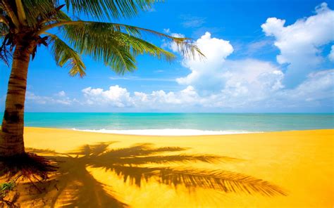 Jamaica Beach Desktop Wallpapers Top Free Jamaica Beach Desktop