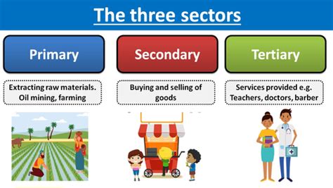 11 Different Types Of Business Activity 12 Sectors Of Operation Ocr