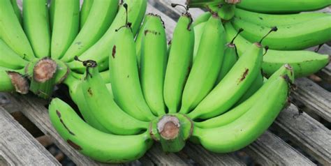 Jenis pisang ini mendapat permintaan tinggi di pasaran antarabangsa. 19+ Macam Jenis Pisang dan Manfaatnya yang Banyak Dijual ...