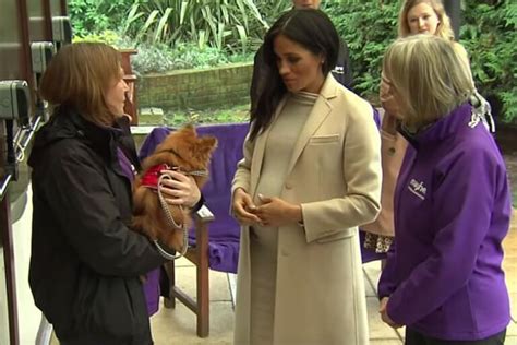 Meghan markle and prince harry have paid tribute to prince philip, who died today aged 99, on their archewell website. Meghan Markle krijgt kritiek op haar figuur na het delen ...