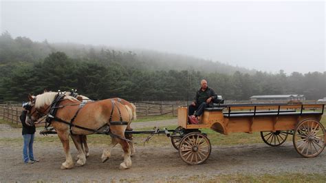 Acadia National Park And Carriage Ride Disney Cruise Line