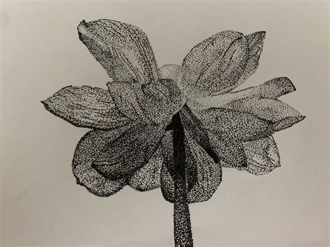 Stippling Nature Want To Do Something Else With It Any Ideas Rdrawing