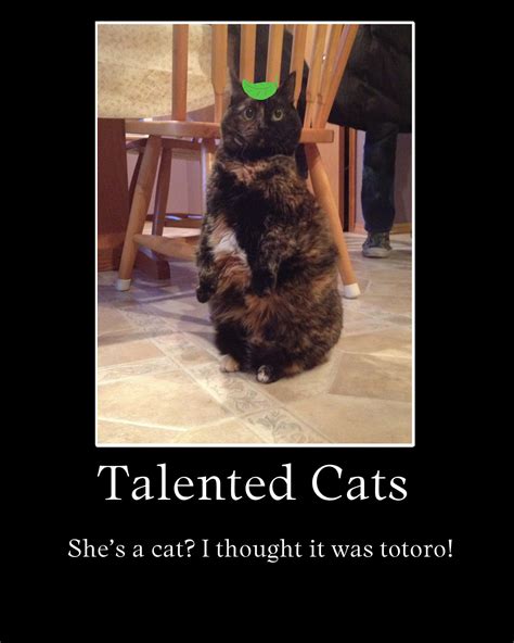 Talented Cats Motivation By Chaos55t On Deviantart