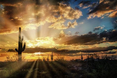Sunset Rays In The Sonoran Photograph By Saija Lehtonen Fine Art America