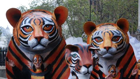 Free Images Carnival Mammal Parade Mask Tiger Carving Costume
