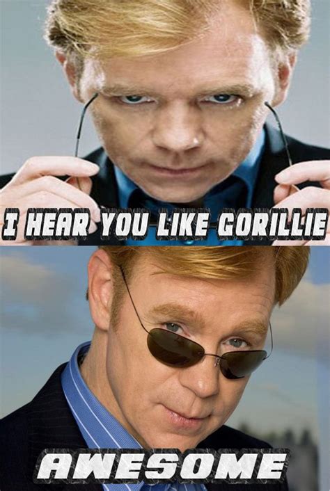 Very Very Cool Horatio Caine From Csi Miami Very Cool Our Funny Take