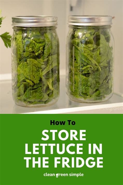 A flower with a sturdy, woody stem and petals that hold moisture (like a lilly) will last longer than a tulip whose stem is delicate and needs to maintain water. How to Store Lettuce in the Fridge (Without Plastic ...