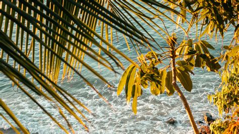 Download Wallpaper 3840x2160 Sea Beach Palm Trees Tropics Summer 4k