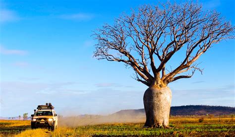 12 things you need to know for driving around australia australian traveller
